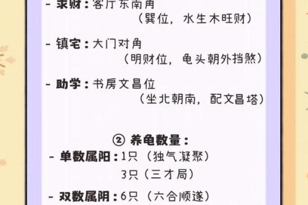 乌龟风水_龟眠之地是什么