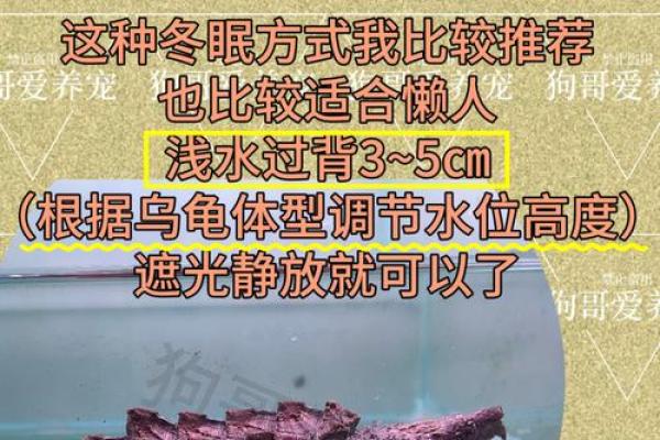 乌龟风水_龟眠之地是什么