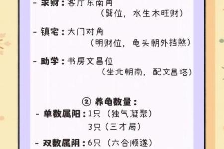 乌龟风水_龟眠之地是什么