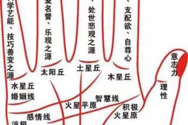 手相风水：爱情线怎么看有几段感情