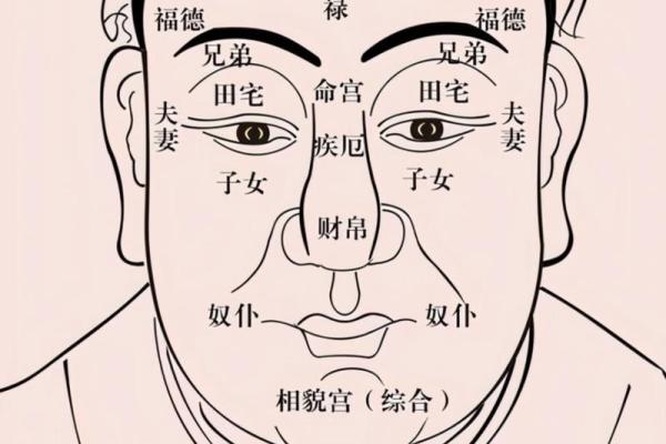风水分析面相眼睛小是不是影响事业