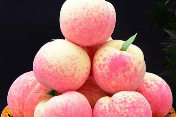 文财神供果,供财神用哪五种水果 文财神供果,供财神用哪五种水果