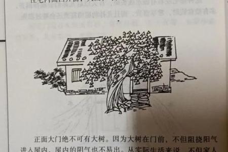 注意！住宅外部环境的风水禁忌