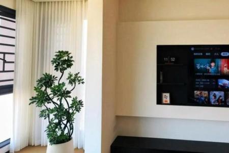 客厅电视机摆放风水