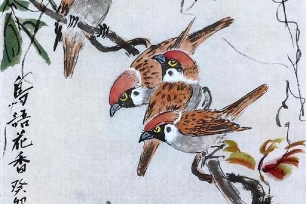 麻雀与房子风水有关吗