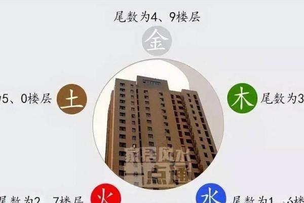 风水最旺的房子楼层是几楼有助于财运