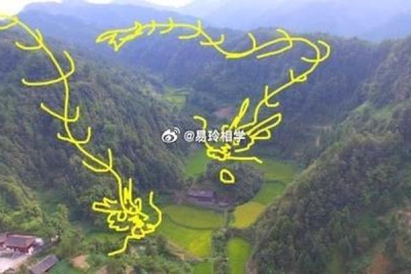 先人的影响，可当官的祖坟风水