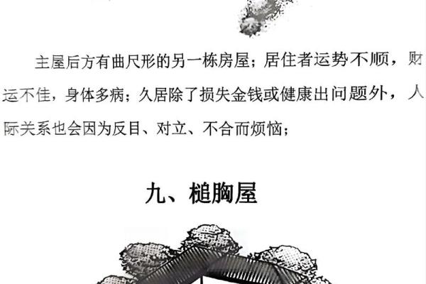 住房子在后院风水怎么样