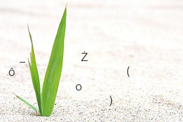 玉帝爷灵签10白话解签