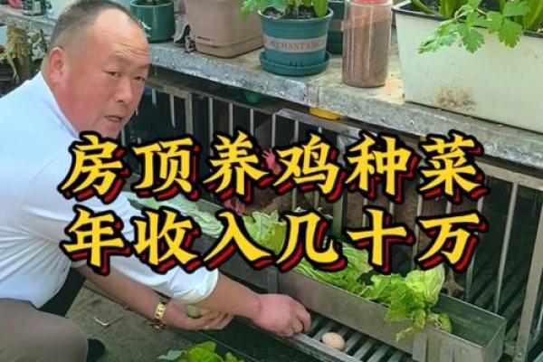 新房子前面种菜可以吗风水