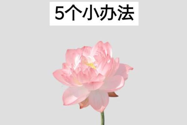 用风水开运化煞 把你的倒霉气通通都赶跑