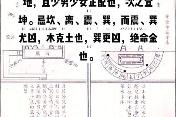 传统风水解析命里藏大富的生肖女有谁 传统风水解析命里藏大富的生肖女有谁