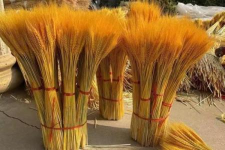 方位风水_成熟的麦子摆放在家里的什么位置更好