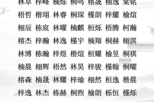 赵姓男孩名字大全-赵姓男孩起名字大全-赵姓名字大全姓名