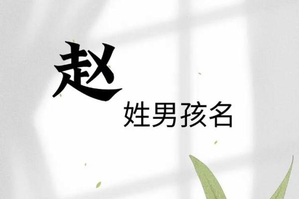 赵姓男孩名字大全-赵姓男孩起名字大全-赵姓名字大全姓名