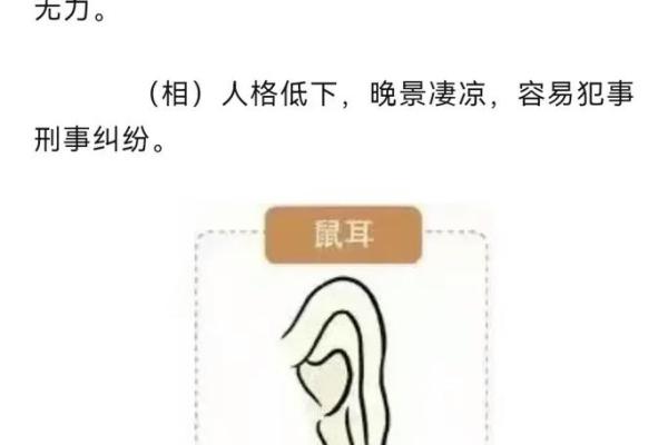 耳朵风水里代表什么 耳朵风水里代表什么