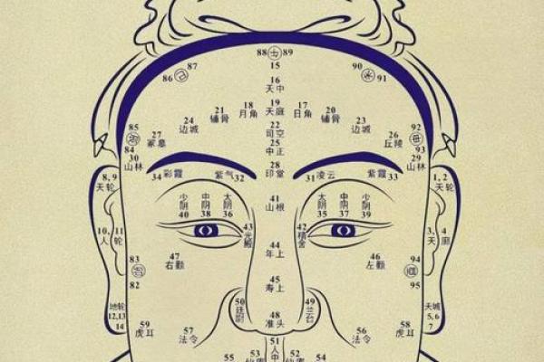 发际线的面相风水，你知道吗