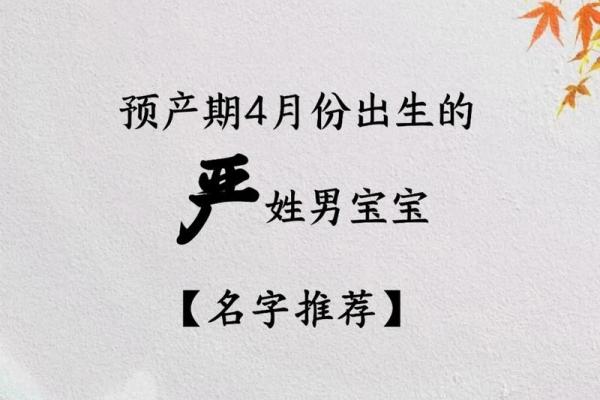 严姓男孩名字大全-严姓男孩起名字大全-严姓名字大全姓名