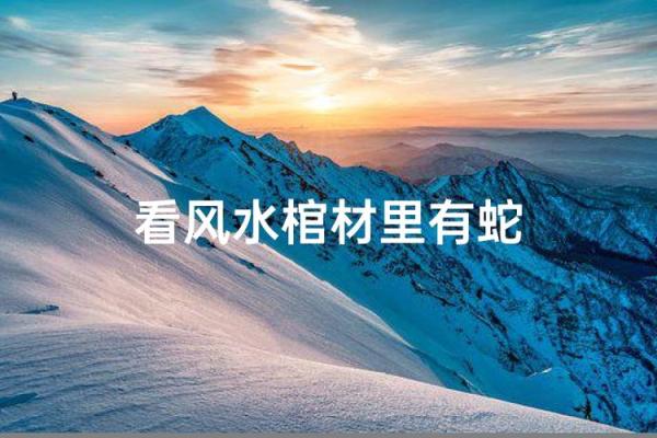 房子上能画条蛇吗风水