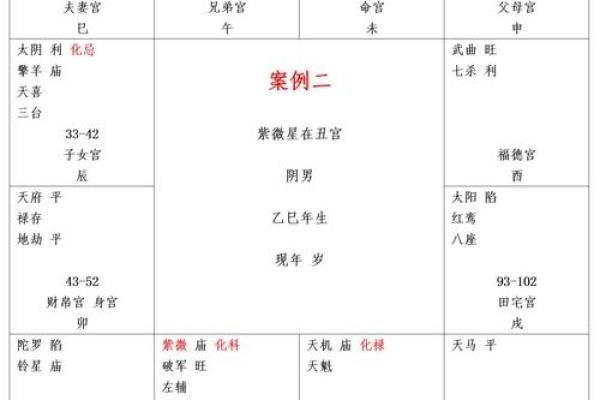 紫微斗数之诸星值限年运气推断:紫微星之限 紫微斗数之诸星值限年运气推断:紫微星之限