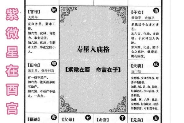 紫薇斗数和周易