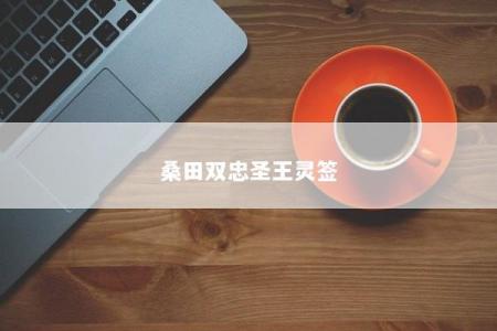 桑田双忠圣王灵签