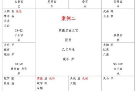 紫微斗数之诸星值限年运气推断：紫微星之限