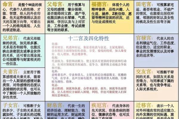 紫薇斗数各有看法