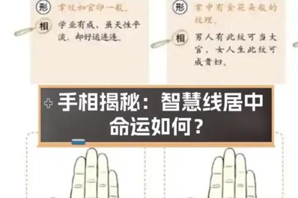 看手纹测命运图解 手相学图解算命大全
