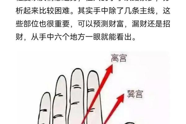 看手纹测命运图解 手相学图解算命大全