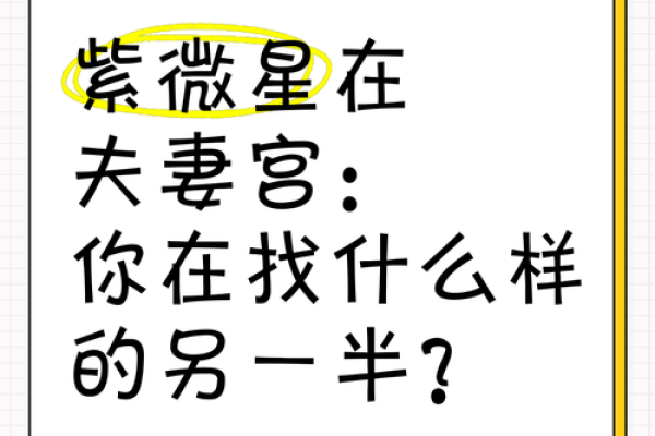 紫微斗数夫妻宫在亥无主星 加桃花主配偶有艺术才能