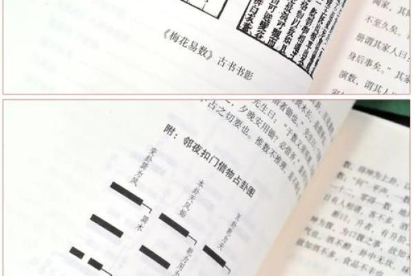 紫薇斗数与梅花易