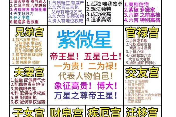 紫薇斗数与梅花易
