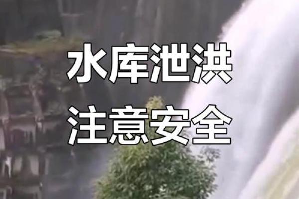 水库风水_你听过哪些骇人听闻的真实事件