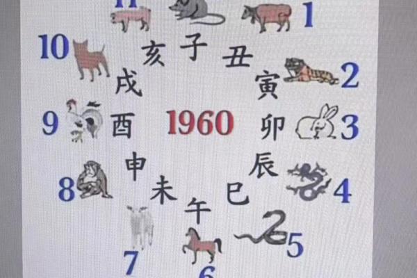 紫薇与斗数