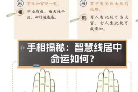 看手纹测命运图解 手相学图解算命大全