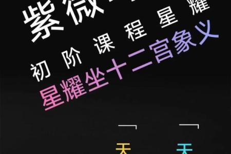 紫微斗数之疾厄宫与诸星，天相星在疾病宫是什么意思？