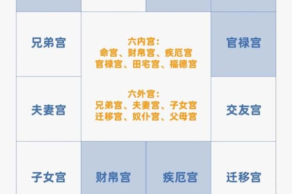 紫薇斗数多才多艺怎么看