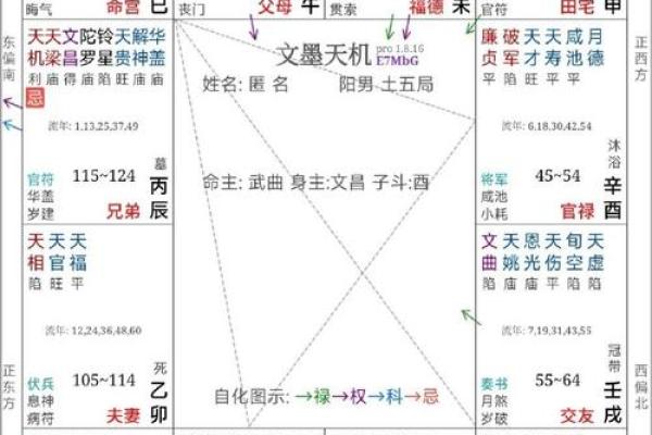 紫薇斗数流年年父
