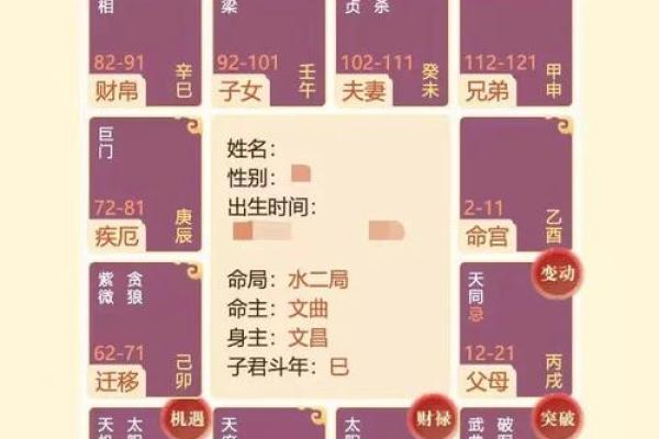 紫薇斗数流年年父