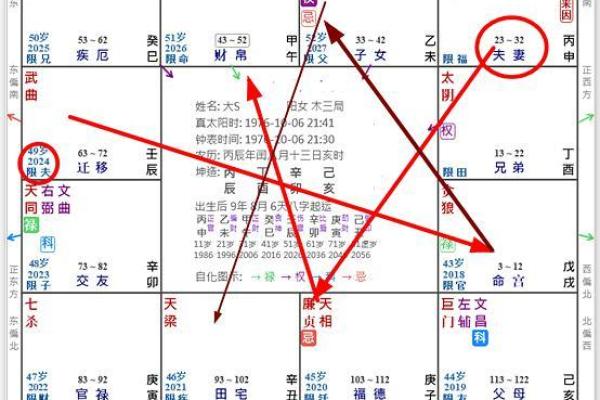 紫薇斗数旺夫