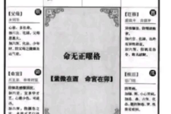 怡然紫薇斗数
