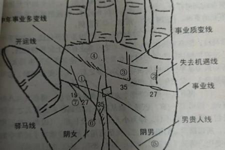 男手痣相图解算命