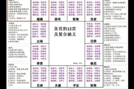 大数据紫薇斗数