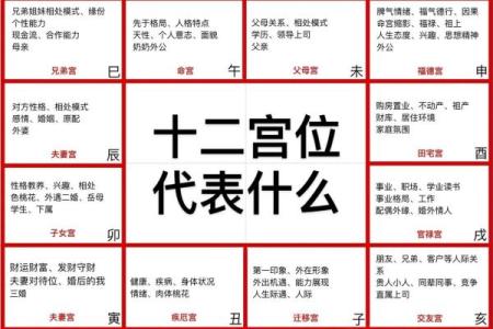 水浒传紫薇斗数