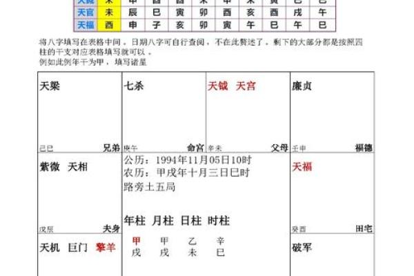 紫薇斗数代表什么