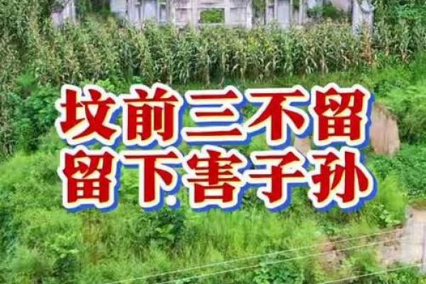 传说中的风水祖坟故事都有哪些