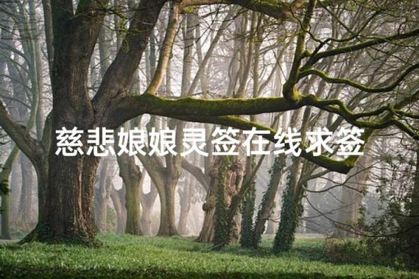 慈悲娘娘灵签78签解