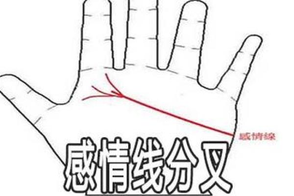 男士手相算命图解法 男人感情线的末端分叉异性缘好