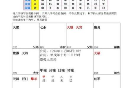 紫薇斗数代表什么
